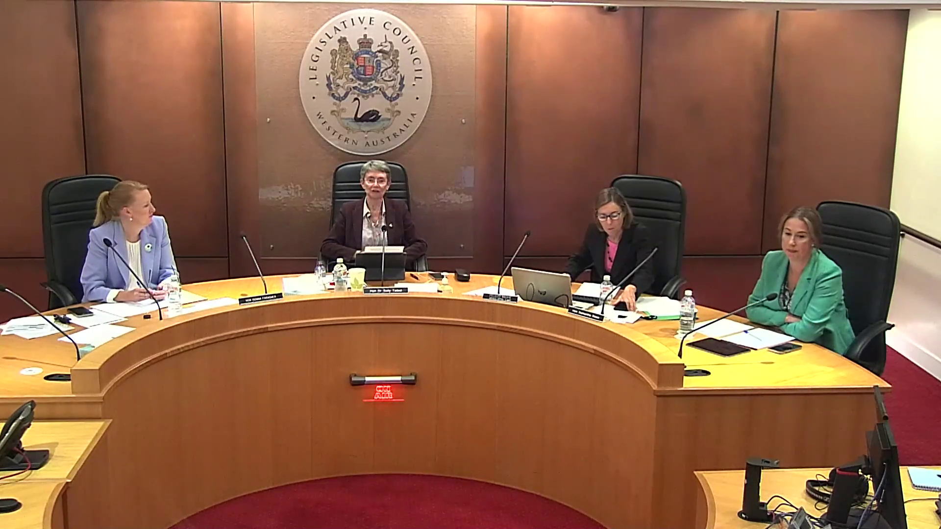 Select Committee into Child Development Services